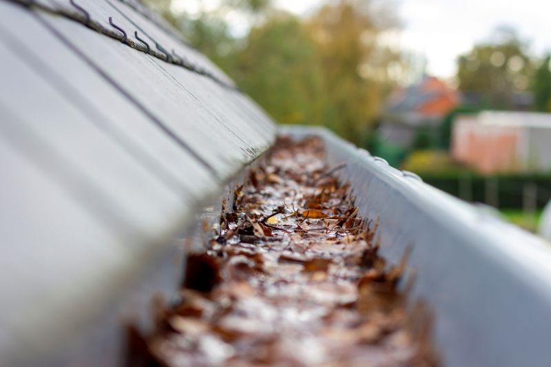 Commercial Gutter Unclogging in Denver County, CO