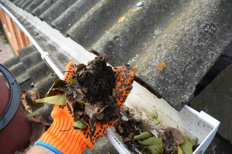 Gutter Pine Needle Removal in Rochester, NY