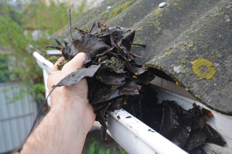 Rain Gutter Clearing in Monmouth County, NJ